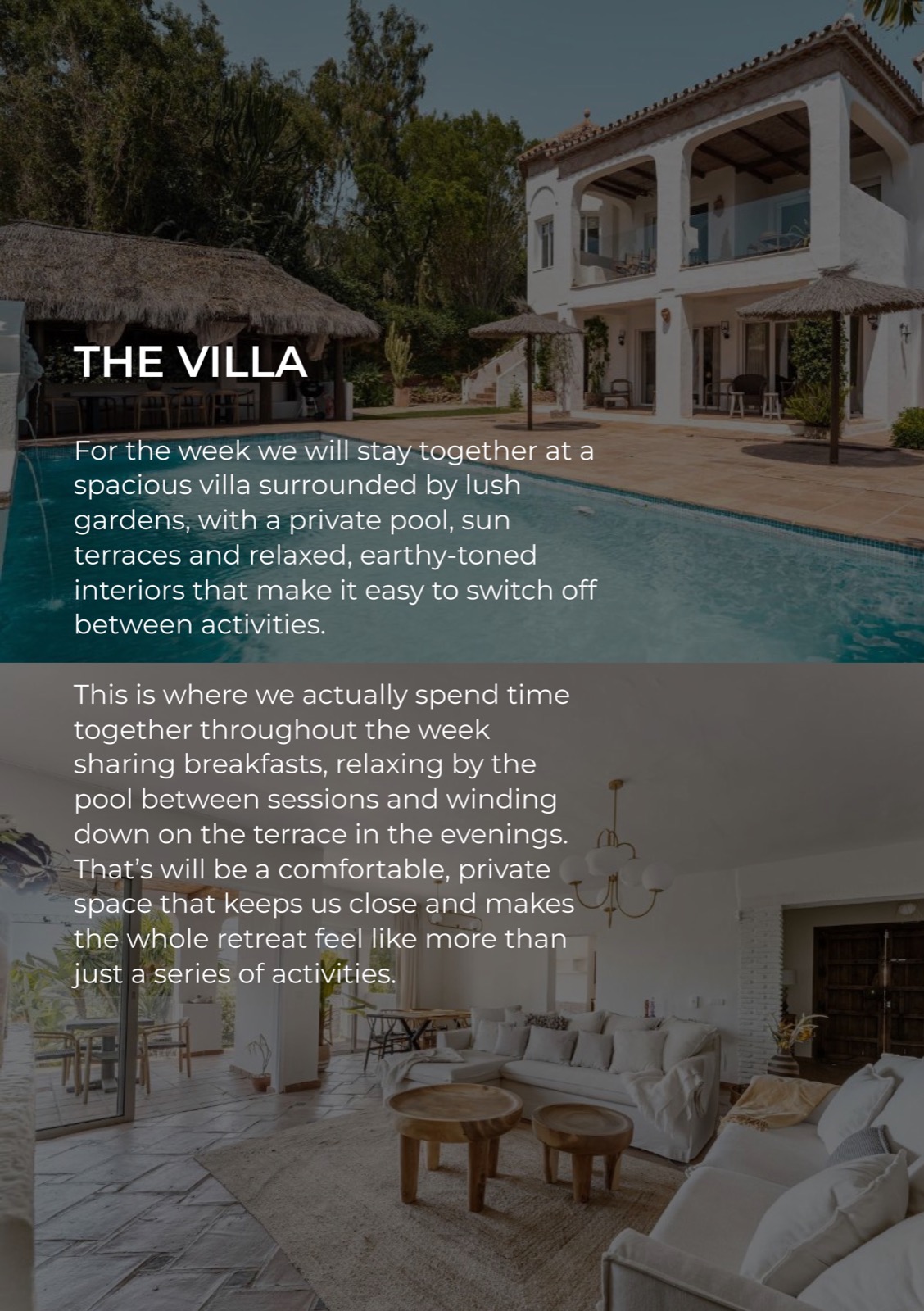 The villa in Marbella, with the pool and the terrace